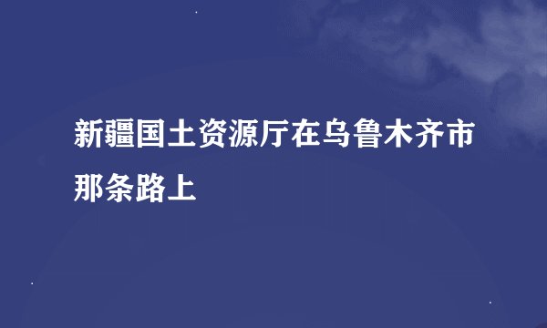 新疆国土资源厅在乌鲁木齐市那条路上