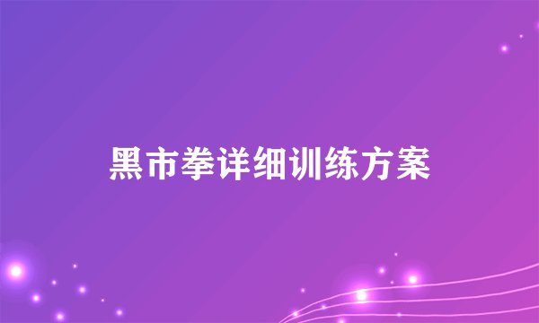 黑市拳详细训练方案