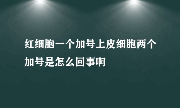 红细胞一个加号上皮细胞两个加号是怎么回事啊