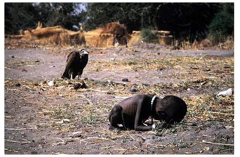 世界上最绝望的图片