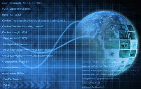 一个完整的计算机软件应包含 ？？