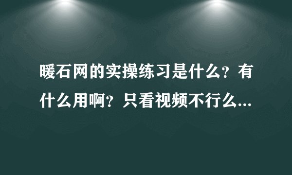 暖石网的实操练习是什么？有什么用啊？只看视频不行么？求知道的帮忙回答啊 谢谢