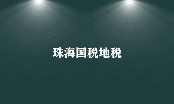 珠海国税地税