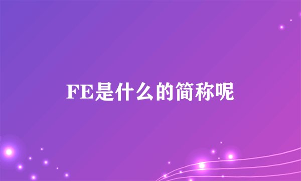 FE是什么的简称呢