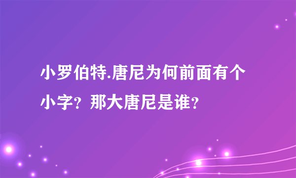 小罗伯特.唐尼为何前面有个小字？那大唐尼是谁？