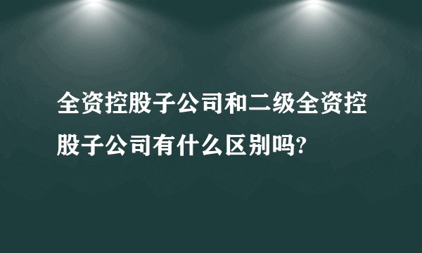 全资控股子公司和二级全资控股子公司有什么区别吗?