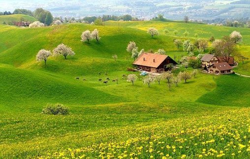 斯卡布罗集市歌曲原唱 中文