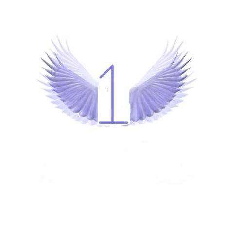 初一一班班徽图片及含义，好的直接采纳，选上了直接追加50-200分