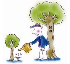 信用保证保险的分类