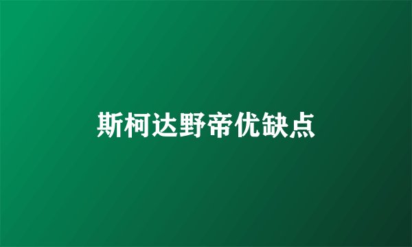 斯柯达野帝优缺点