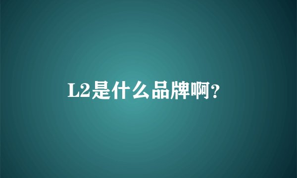 L2是什么品牌啊？