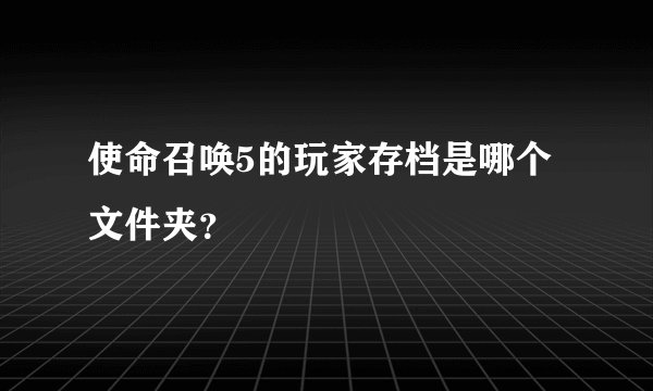 使命召唤5的玩家存档是哪个文件夹？