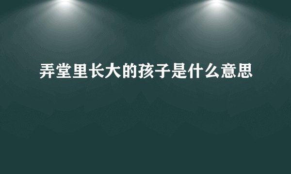 弄堂里长大的孩子是什么意思