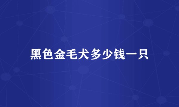 黑色金毛犬多少钱一只