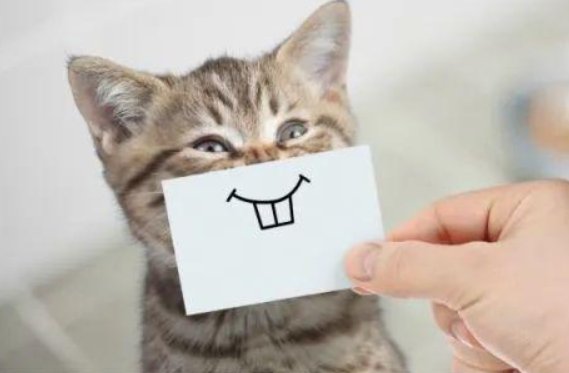 How interesting是什么意思