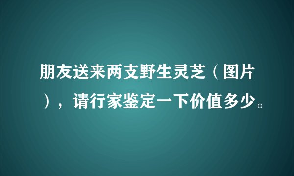 朋友送来两支野生灵芝（图片），请行家鉴定一下价值多少。