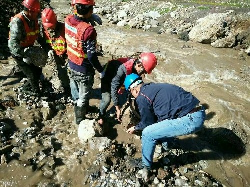 中国电信股份有限公司新疆分公司的历史