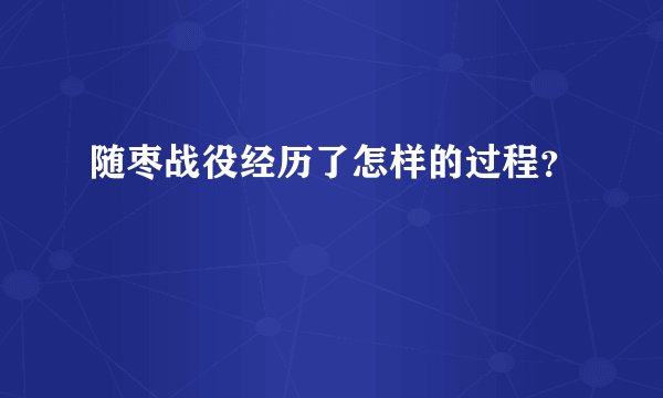 随枣战役经历了怎样的过程？