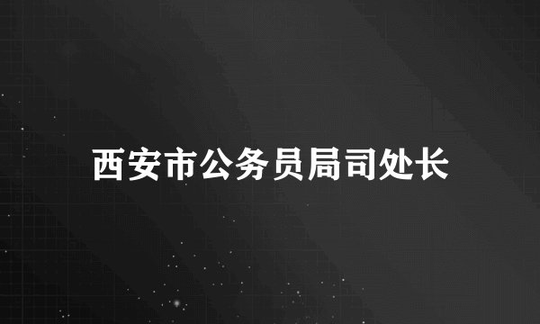 西安市公务员局司处长