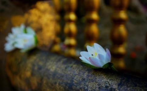 随喜是什么意思