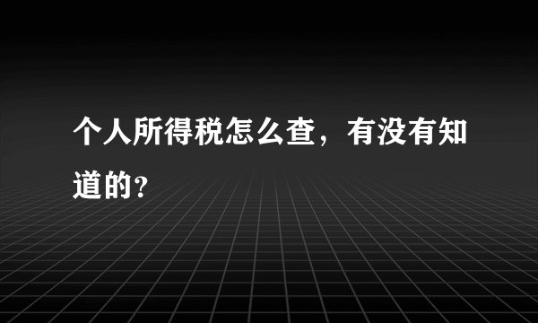 个人所得税怎么查，有没有知道的？