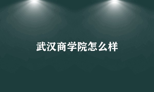 武汉商学院怎么样