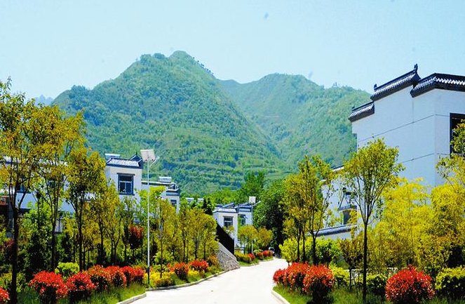 国家乡村振兴战略规划已经发布了吗?