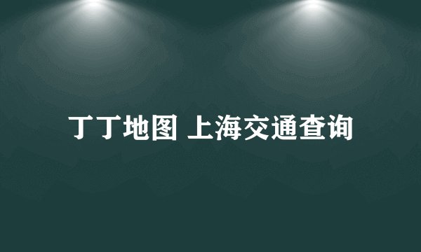 丁丁地图 上海交通查询