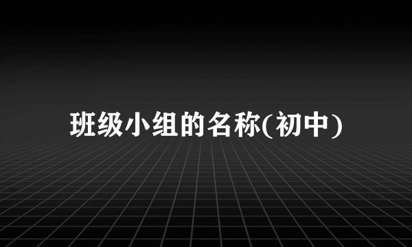 班级小组的名称(初中)