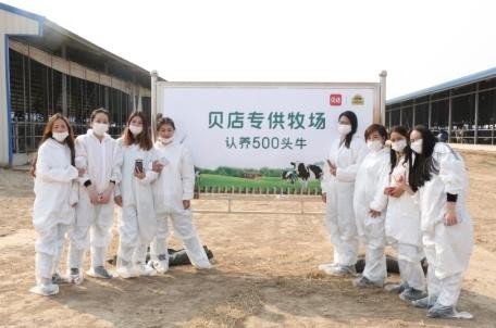 徐晓波认养一头牛的牛奶怎么样？