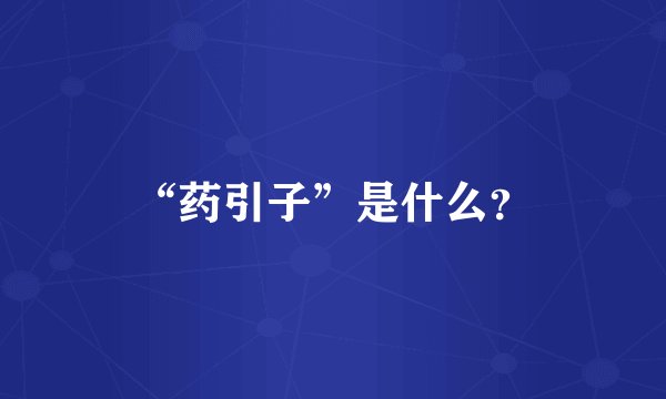 “药引子”是什么？