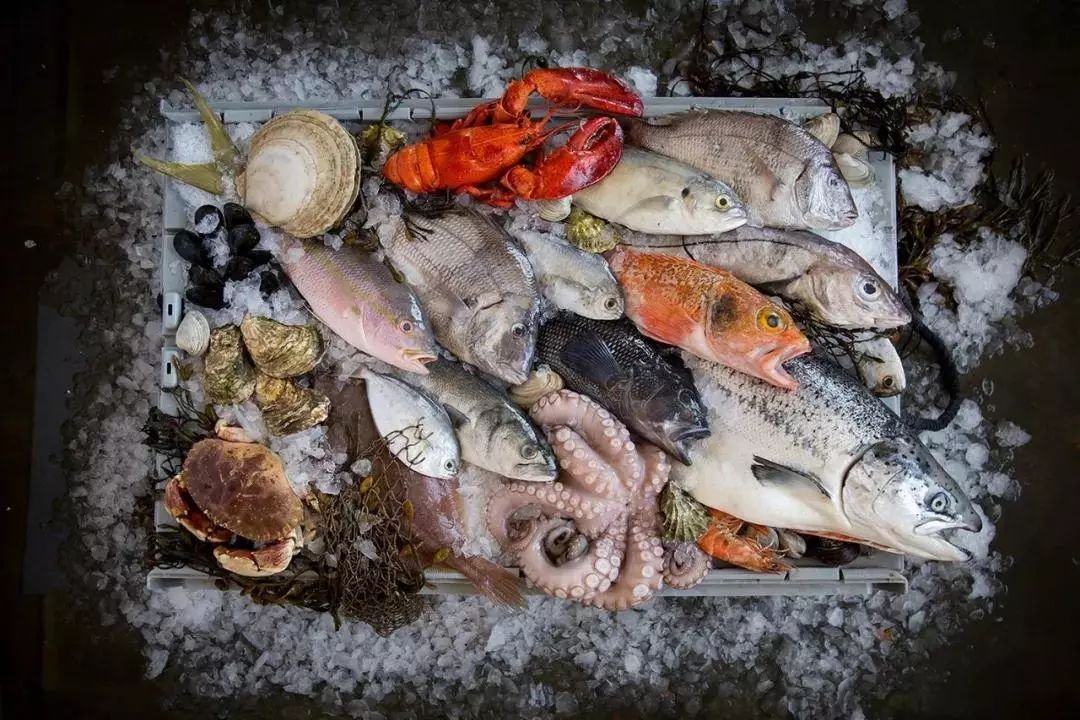 上海最大的海鲜市场的地址