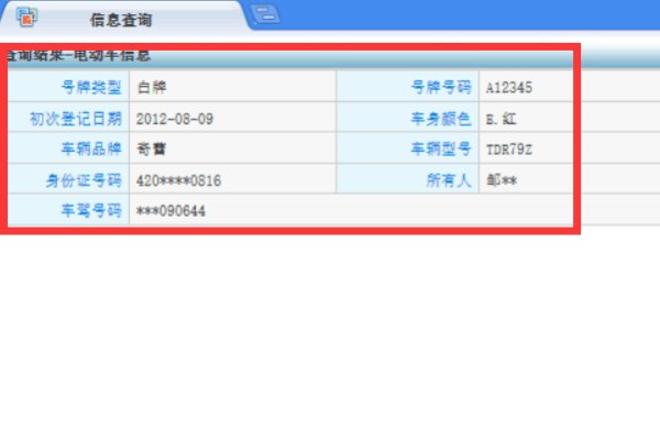 武汉电动车牌照查询