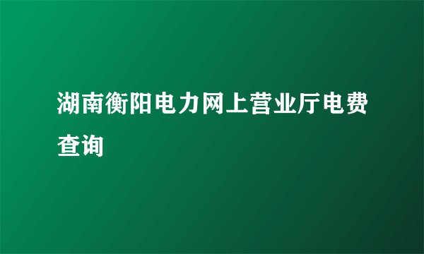 湖南衡阳电力网上营业厅电费查询