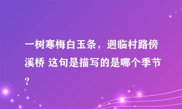 一树寒梅白玉条，迥临村路傍溪桥 这句是描写的是哪个季节？