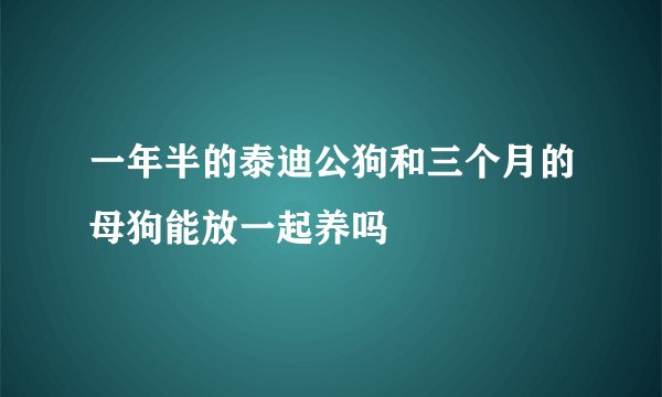一年半的泰迪公狗和三个月的母狗能放一起养吗
