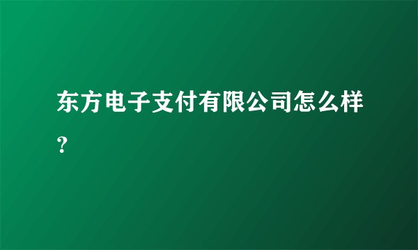 东方电子支付有限公司怎么样？