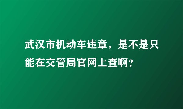 武汉市机动车违章，是不是只能在交管局官网上查啊？