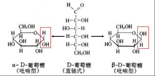 α-D-型葡萄糖的结构式