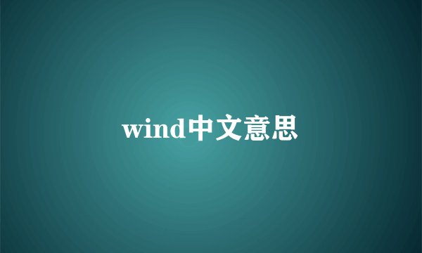 wind中文意思