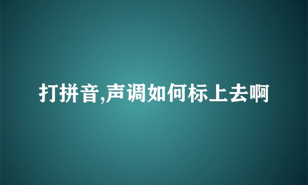 打拼音,声调如何标上去啊
