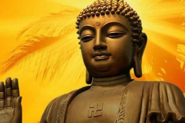 能渡苦厄 何不渡我什么意思