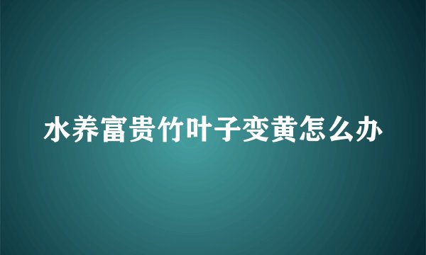 水养富贵竹叶子变黄怎么办