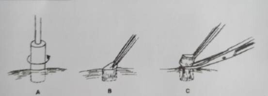 狗狗皮肤病怎么治？