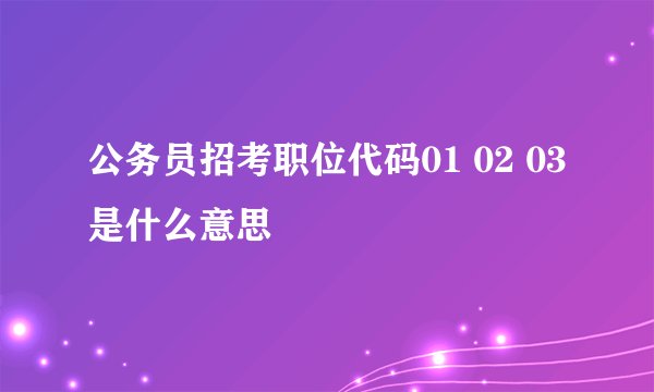公务员招考职位代码01 02 03是什么意思