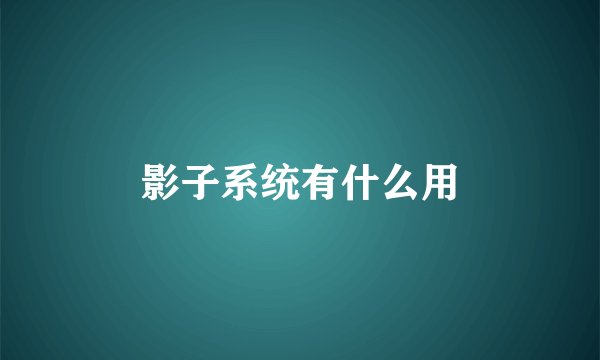 影子系统有什么用