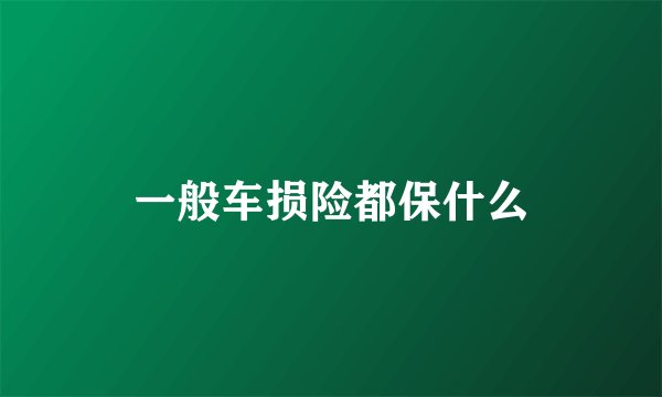 一般车损险都保什么