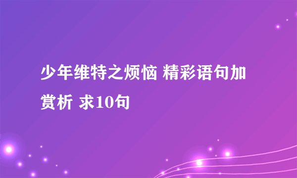 少年维特之烦恼 精彩语句加赏析 求10句