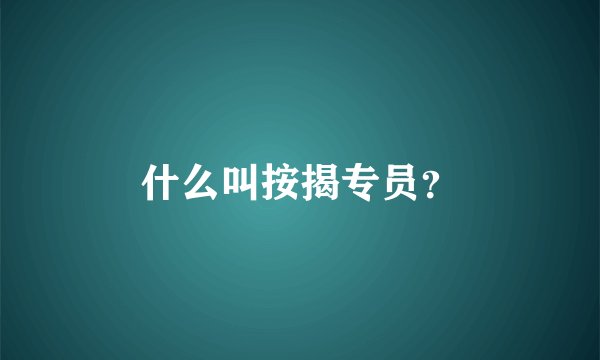 什么叫按揭专员？