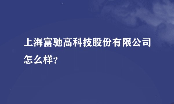 上海富驰高科技股份有限公司怎么样？